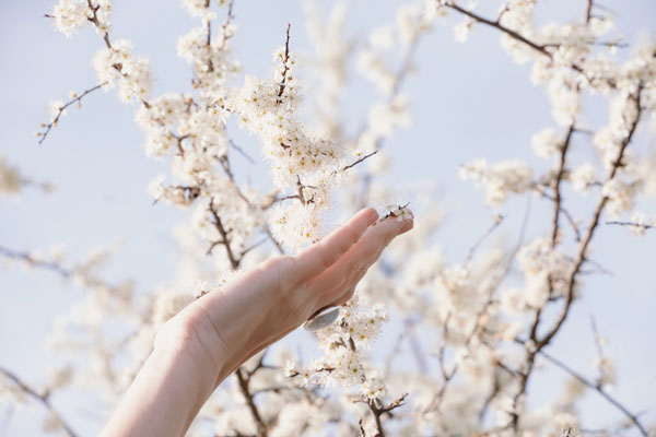 Contacto psicoterapia psicologia Vitoria-Gasteiz